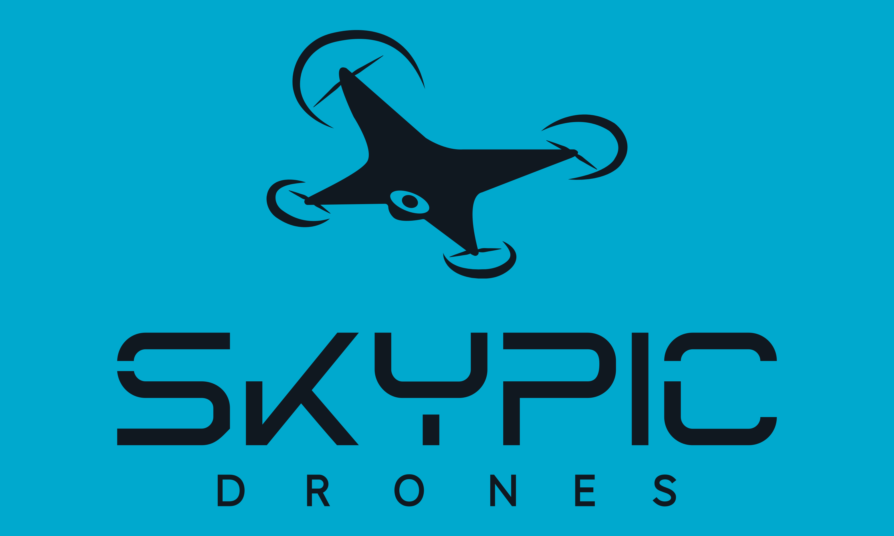 SkyPIC Drones